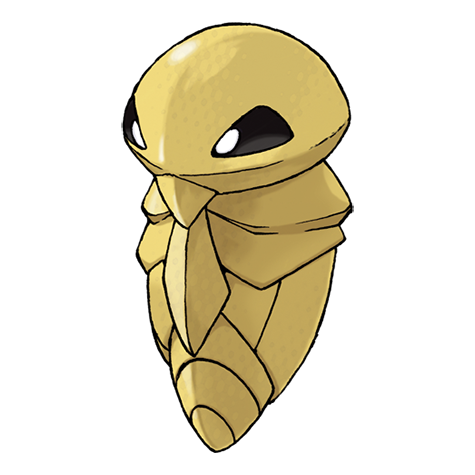 14.png