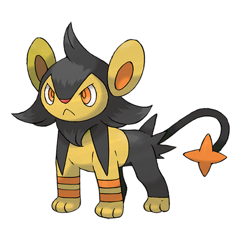 404-shiny.png