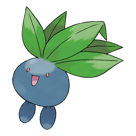 43.png