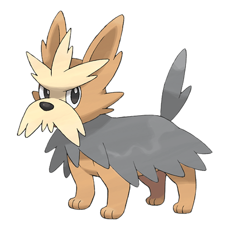 507-shiny.png