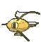 129-shiny.gif