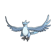 144-shiny.gif