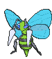 15-shiny.gif