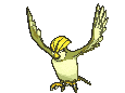 17-shiny.gif