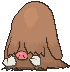 221.gif