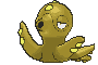 224-shiny.gif