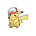 25-partner-cap-shiny.gif