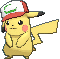25-partner-cap.gif
