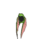 42-shiny.gif