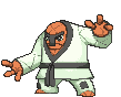 538-shiny.gif