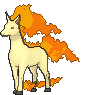 78.gif