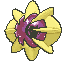 790-shiny.gif