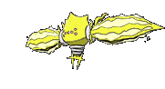 894-shiny.gif