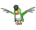 931-yellow-plumage.gif
