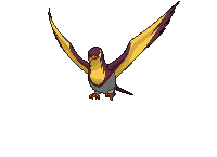 941-shiny.gif